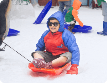 sledging